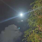 ヒメ日記 2025/10/14 15:54 投稿 アズサ Club 妻