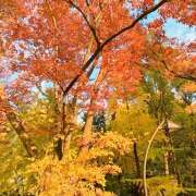 ヒメ日記 2025/11/22 10:17 投稿 アズサ Club 妻