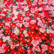 ヒメ日記 2026/01/14 18:23 投稿 アズサ Club 妻