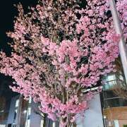 ヒメ日記 2026/03/23 11:53 投稿 アズサ Club 妻