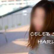 ヒメ日記 2026/02/02 09:00 投稿 はるか [優良人妻店]セレブスタイル（山口～防府～萩）