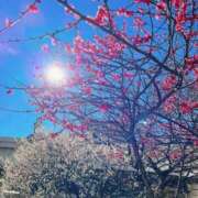 ヒメ日記 2025/02/25 00:42 投稿 鷲見杏奈(わしみあんな) 東京ヒストリー　秘密の約束