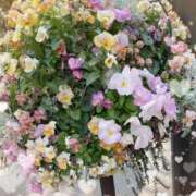 鷲見杏奈(わしみあんな) 明日の出勤と、あの日お会いできた貴方へ①。 東京ヒストリー　秘密の約束