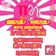 ヒメ日記 2025/02/10 16:11 投稿 白崎みれい＠全てのM男を虜にする アナラードライ