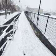 ヒメ日記 2025/02/19 13:18 投稿 あん 八尾藤井寺羽曳野ちゃんこ