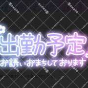 ヒメ日記 2025/03/23 21:35 投稿 あん 八尾藤井寺羽曳野ちゃんこ