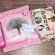 ヒメ日記 2025/02/12 02:25 投稿 きらら アラモード