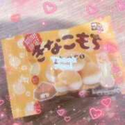 ヒメ日記 2025/02/19 23:17 投稿 きらら アラモード