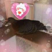 ヒメ日記 2025/09/25 20:27 投稿 ちい☆エ○チなムードに制御不能❤ 五十路有閑マダム～沖縄店～