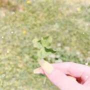 ヒメ日記 2025/05/10 13:04 投稿 のん ヒルズスパ　梅田＋