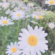 ヒメ日記 2025/01/18 03:32 投稿 あゆみ 大久保ハンドメイド