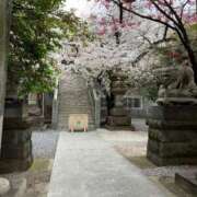 ヒメ日記 2025/03/31 18:42 投稿 あみか 鶯谷デリヘル倶楽部