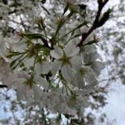 ヒメ日記 2025/04/04 21:59 投稿 あみか 鶯谷デリヘル倶楽部