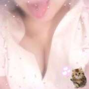 めあ 【😖🍃】 PRIME