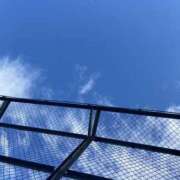 ヒメ日記 2025/01/01 13:20 投稿 佐倉ゆな【OL委員会】 柏OL委員会