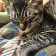 ヒメ日記 2026/03/07 23:14 投稿 りあ 山口周南ちゃんこ