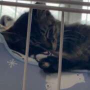 ヒメ日記 2026/03/27 01:25 投稿 りあ 山口周南ちゃんこ