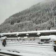 ヒメ日記 2024/12/14 17:20 投稿 りいな an_an（アンアン）