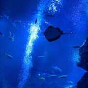 ヒメ日記 2025/01/06 08:47 投稿 ひな リッチドールフェミニン