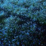 ヒメ日記 2025/05/17 17:57 投稿 ひな リッチドールフェミニン