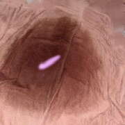 ヒメ日記 2025/06/21 09:47 投稿 ゆき プラザ２