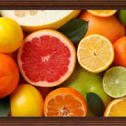 ヒメ日記 2024/12/25 05:10 投稿 宇多川麻里 五十路マダム 郡山店