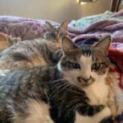 ヒメ日記 2024/12/26 05:04 投稿 宇多川麻里 五十路マダム 郡山店