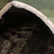 ヒメ日記 2024/12/26 10:20 投稿 宇多川麻里 五十路マダム 郡山店