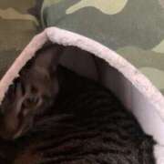 ヒメ日記 2024/12/27 10:02 投稿 宇多川麻里 五十路マダム 郡山店