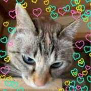 ヒメ日記 2024/12/31 10:12 投稿 宇多川麻里 五十路マダム 郡山店