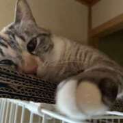 ヒメ日記 2025/01/01 19:22 投稿 宇多川麻里 五十路マダム 郡山店