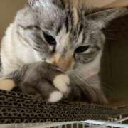 ヒメ日記 2025/01/02 03:48 投稿 宇多川麻里 五十路マダム 郡山店