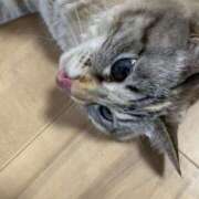 ヒメ日記 2025/01/04 04:50 投稿 宇多川麻里 五十路マダム 郡山店