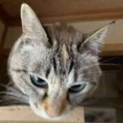 ヒメ日記 2025/01/04 05:04 投稿 宇多川麻里 五十路マダム 郡山店