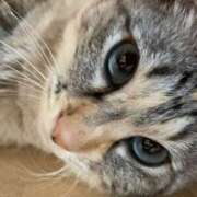 ヒメ日記 2025/01/08 20:00 投稿 宇多川麻里 五十路マダム 郡山店