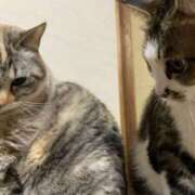 ヒメ日記 2025/01/28 16:56 投稿 宇多川麻里 五十路マダム 郡山店