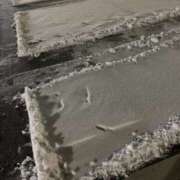 ヒメ日記 2025/02/06 09:56 投稿 宇多川麻里 五十路マダム 郡山店