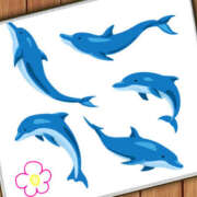 ヒメ日記 2025/02/17 19:56 投稿 宇多川麻里 五十路マダム 郡山店