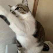 ヒメ日記 2025/02/18 04:28 投稿 宇多川麻里 五十路マダム 郡山店