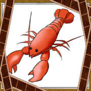 ヒメ日記 2025/02/21 20:44 投稿 宇多川麻里 五十路マダム 郡山店