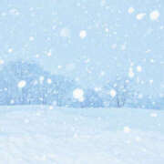 ヒメ日記 2025/03/03 08:00 投稿 宇多川麻里 五十路マダム 郡山店