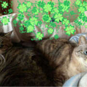 ヒメ日記 2025/04/07 10:16 投稿 宇多川麻里 五十路マダム 郡山店