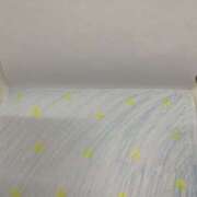 ヒメ日記 2025/04/17 03:44 投稿 宇多川麻里 五十路マダム 郡山店