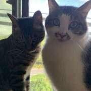 ヒメ日記 2025/05/04 06:54 投稿 宇多川麻里 五十路マダム 郡山店