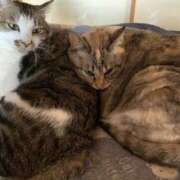 ヒメ日記 2025/05/29 04:26 投稿 宇多川麻里 五十路マダム 郡山店