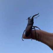 ヒメ日記 2025/06/20 04:52 投稿 宇多川麻里 五十路マダム 郡山店