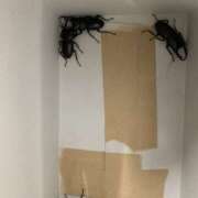 ヒメ日記 2025/06/30 05:04 投稿 宇多川麻里 五十路マダム 郡山店