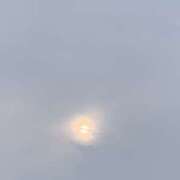 ヒメ日記 2025/07/05 06:20 投稿 宇多川麻里 五十路マダム 郡山店