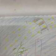 ヒメ日記 2025/07/08 00:02 投稿 宇多川麻里 五十路マダム 郡山店