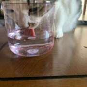 ヒメ日記 2025/07/09 08:12 投稿 宇多川麻里 五十路マダム 郡山店